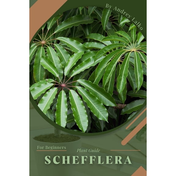 Schefflera : Plant Guide (Paperback)