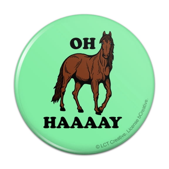 Oh Haaaay Horse Hay Hey Funny Humor Pinback Button Pin