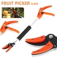 thumbnail image 3 of Podadora De Árboles De Largo Alcance Para Jardín, Tijeras De Podar De Mango Largo Para Ramas De Árboles, Selección De Frutas Conveniente Y Duradera, Podadora De Pargo Con Mango Largo Muyoka Hogar, 3 of 7