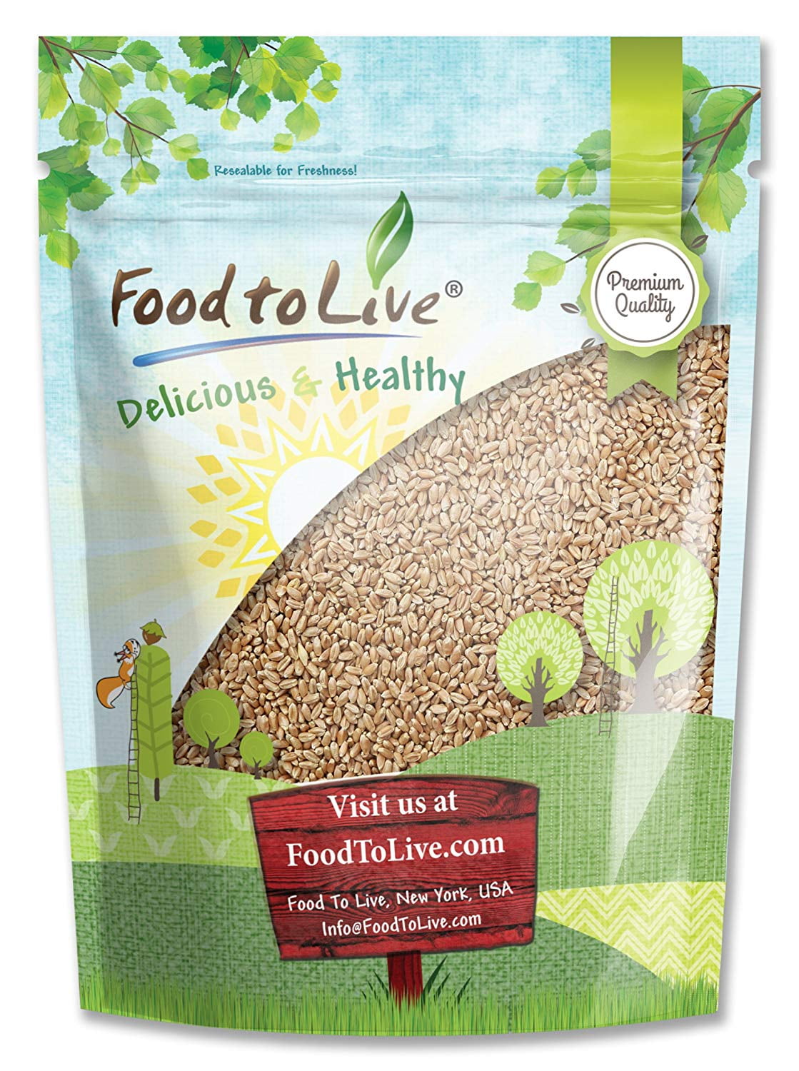 Wheat Berries, Non-GMO Verified, 0.5 Pounds — Kosher, Sproutable, Raw, Vegan — by Food to Live