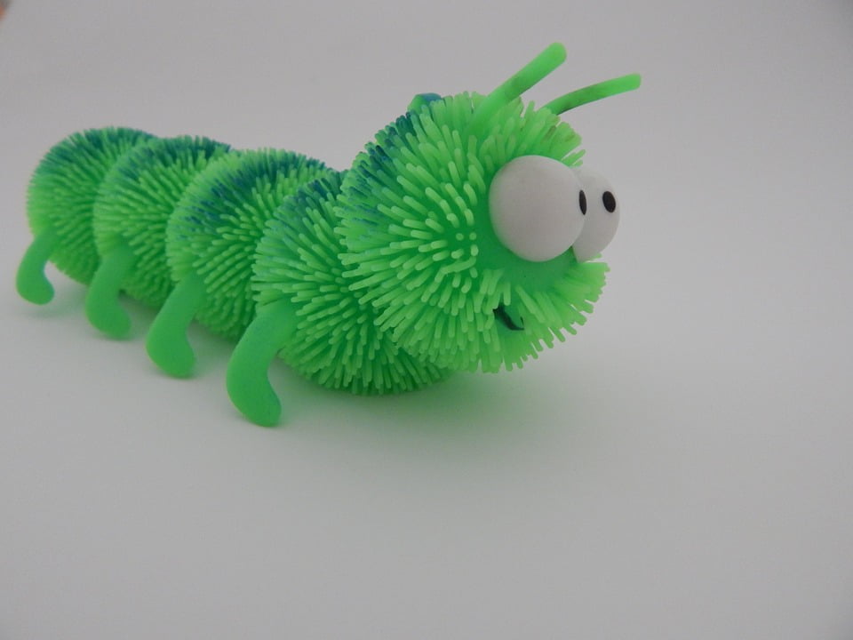 green caterpillar toy