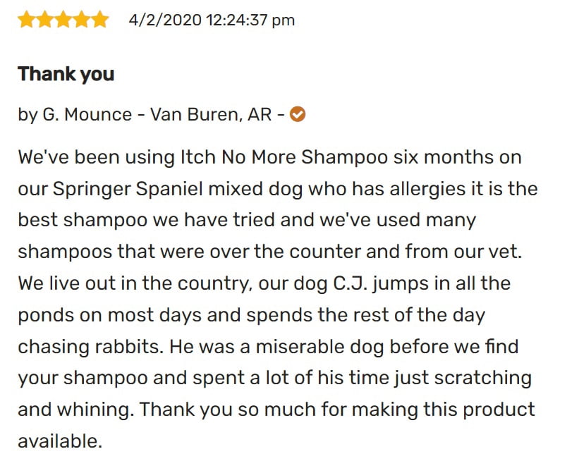 Happy Jack Itch No More Dog Itchy Skin Shampoo & Treatment (12 oz), Flea Bites, Allergies & Itchy Skin Relief, Stops Itching, Scratching & Gnawing on First Application, Healthy Dog Skin & Coat