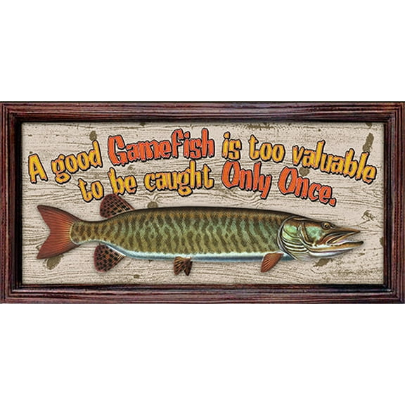 Musky A Good Gamefish Is Too Valuable To Be Caught Only Once Novelty Sign | Indoor/Outdoor | Funny Home Décor for Garages, Living Rooms, Bedroom | SignMission personalized gift Wall