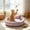 Purple, variant on huayou Raised Bolster Round Pet Sofa Bed, Vintage Floral Lining Fringe Border with Mini Pillow, Calming Rest Bed for Household Indoor Kittens Puppies