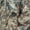 Dark Gray, variant on Men's Pro Action Rain Jacket Mossy Oak Country DNA 3XL