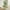 Light Green, variant on JUSTLET 61-inch DIY Multi-Level Cat Tree Tower with Scratching Posts, Purple