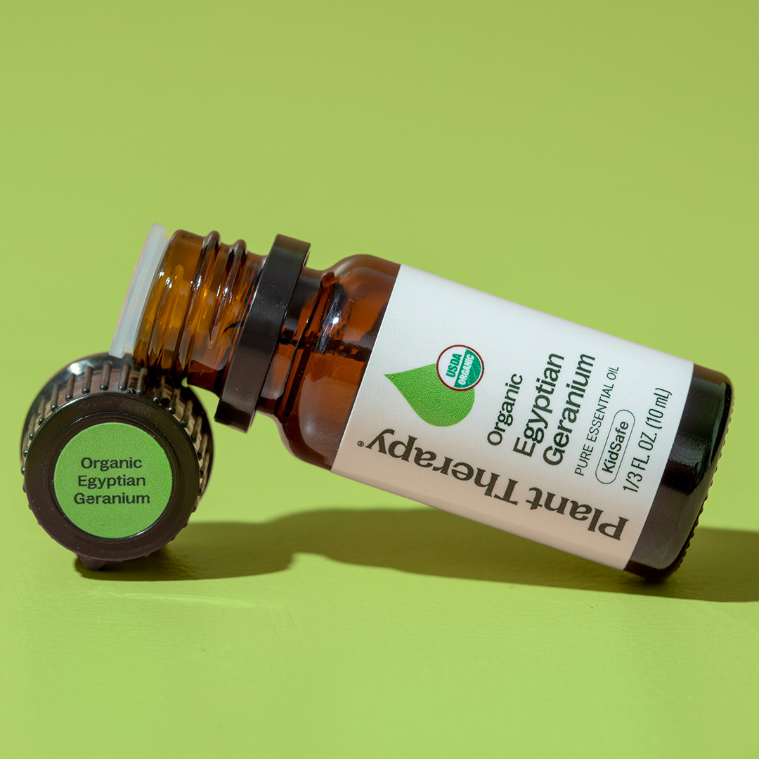 Plant Therapy Organic Egyptian Geranium Essential Oil 100% Pure, USDA Certified Organic, Undiluted, Natural Aromatherapy 10 mL (1/3 oz)