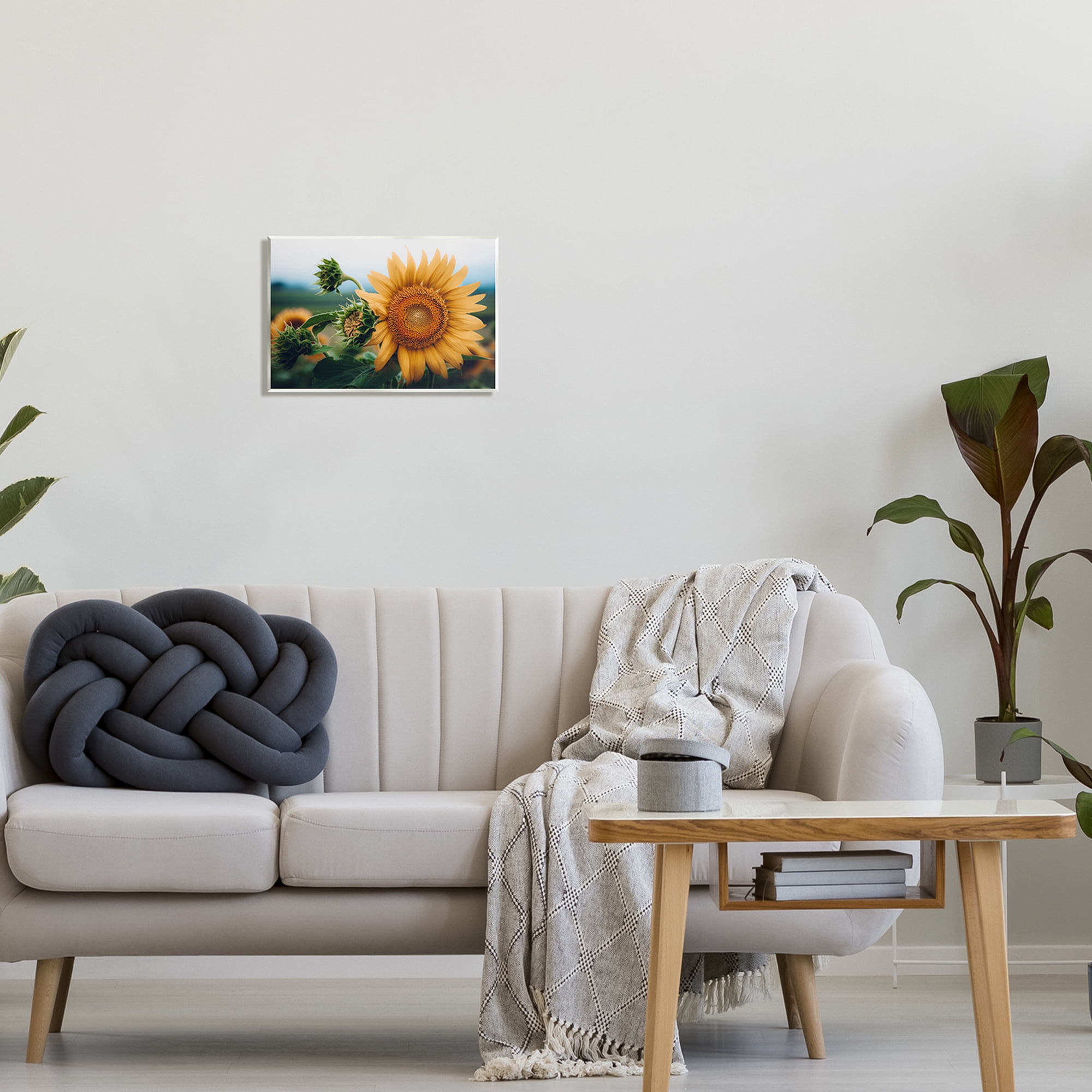 Stupell Industries Evening Sunflower Photography Botanical & Floral Photography Unframed Art Print Wall Art