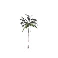 thumbnail image 2 of Men's Summer Clothes, Casual Letter & Tree Print Drop Shoulder Tee, Summer Tops, Graphic Tees for Men, Regular Fit Streetwear Fashion Graphic Crew Neck T-shirt, 90s Clothes, T Shirts for Men, Men, 2 of 7