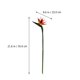 thumbnail image 3 of GOOHOCHY 1 flor artificial de ave del paraíso de plástico para decoración del hogar (naranja), 3 of 8