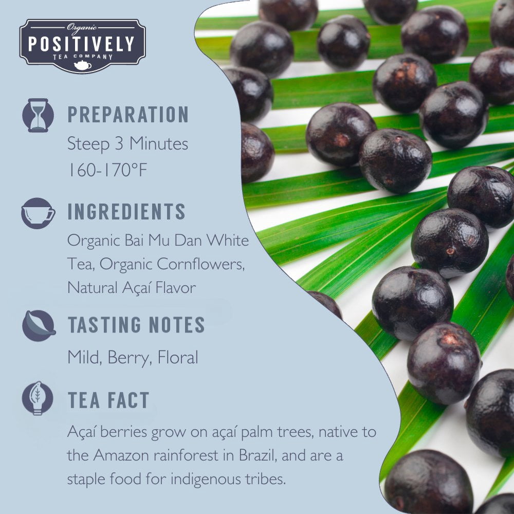 Positively Tea's Organic Acai White, White Tea Bags, 120 CT Tea Bags 6 Boxes