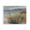 Green Valley Beach Serenity, variant on Stupell Industries The Green Valley Beach Canvas Wall Art, design by Svetlana Aleynikova