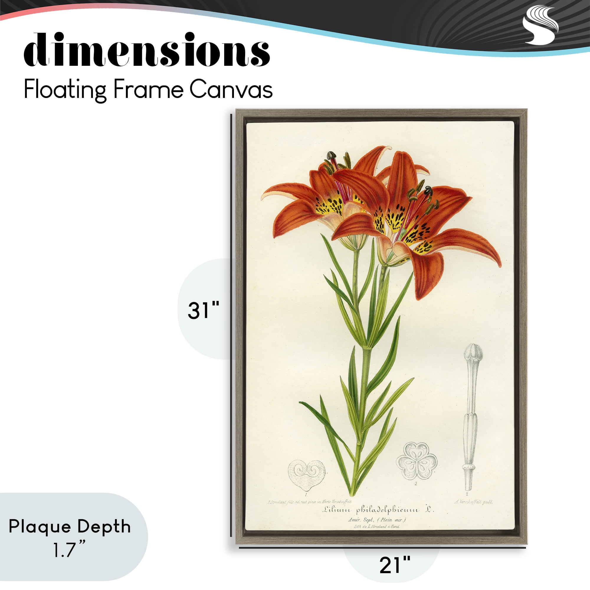 Stupell Industries Western Red Lily Brown Framed Floater Canvas Wall Art, design by Print Collection