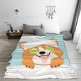 thumbnail image 5 of Sikiie Corgi With Towel Ans Slice Cucumber Ultra-Soft Micro flannel Blanket Luxury All Seasons Warm Blanket for Bedding Sofa and Travel (4 sizes)-40"x30", 5 of 7