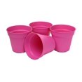 thumbnail image 6 of Mintra Garden - 4pk Pots - (13cm Diameter - 5inW x 4.75inH), 6 of 11