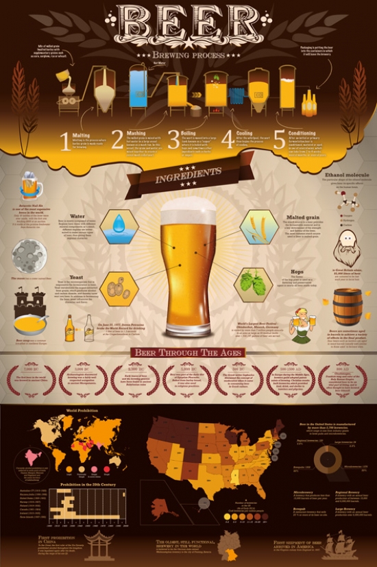 Beer Brewing Process Poster (24 x 36)