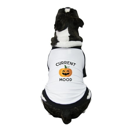 Pumpkin Current Mood Cute Dog Raglan Shirt Halloween Pet T-Shirts
