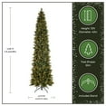 thumbnail image 4 of National Tree Company 12 ft Pre-Lit Carolina Pine Slim Artificial Christmas Tree, 1,000 Clear Lights, 1,900 Tips, Includes Stand, Green, 4 of 8