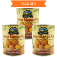 thumbnail image 1 of First Choice Foods Kesar Mango Pulp 850g, Pack of 3, 1 of 6