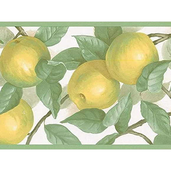 Concord Wallcoverings Wallpaper Border Fruits Pattern Apples Leaves on Branches for Kitchen, Green Yellow White, 7 Inches by 15 Feet MK77657