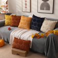 thumbnail image 5 of Fall Pillow Covers 16x16 Set of 2 Fall Decorations Light Orange Pumpkin Throw Pillow Cases Soft Plush Faux Fur Wool Couch Cushion Case for Chair Sofa Bedroom Living Room Home Decor PTK012D16, 5 of 10