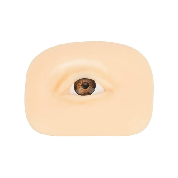 Herramienta de entrenamiento de sombras de ojos, simulación de modelos de cosméticos faciales, accesorio de práctica para principiantes, Ayudas para vestirse con gancho de botón Lado derecho Vogacara CE014517-02