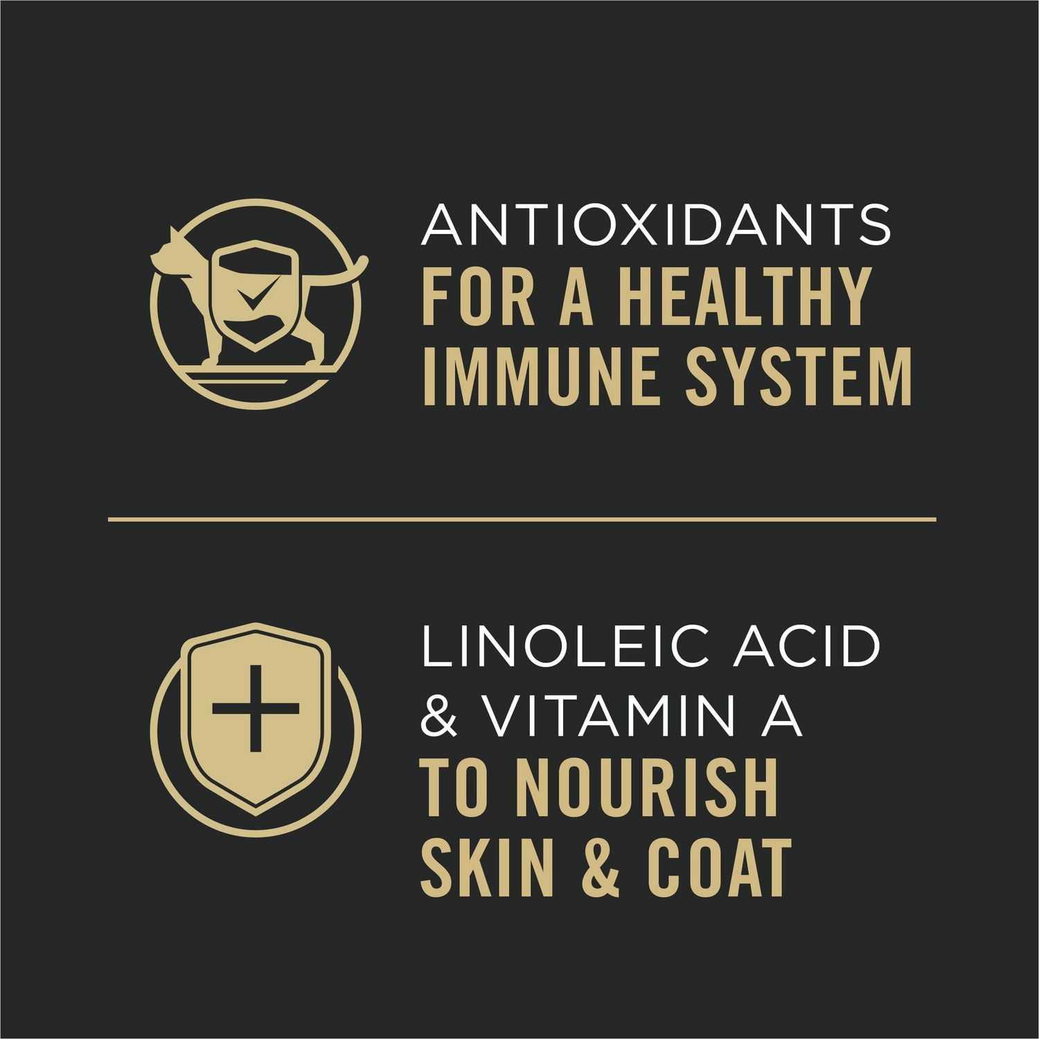 Purina Pro Plan Complete Essentials Chicken & Rice Entrée in Gravy, Wet Cat Food 85 g