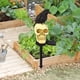 thumbnail image 4 of 4xSolar Powered Garden Lamp Waterproof for shamjiam none, 4 of 8