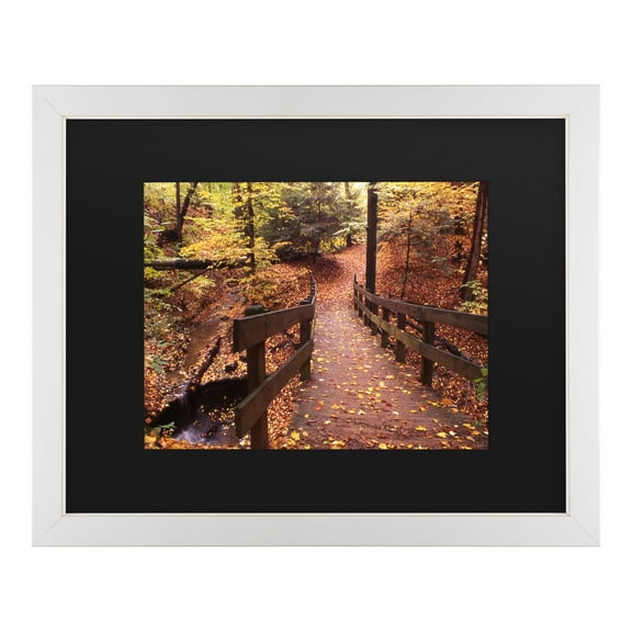 Trademark Fine Art 'Autumn Bridge' Canvas Art by Kurt Shaffer