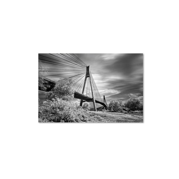 Trademark Fine Art "First Link" Canvas Art by Michael de Guzman