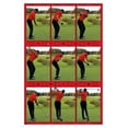 thumbnail image 4 of Tiger Woods - Conduire, 4 of 5