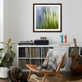 thumbnail image 4 of Art.com Moss Photographic Print by Ursula Abresch, Brown Frame Wall Art, 38" x 38", 4 of 5
