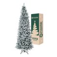 thumbnail image 1 of Árbol de Navidad Pino Canadiense Tipo Lápiz, Esquimal (Verde Nevado, 2.20 m), 1 of 6