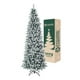 thumbnail image 1 of Árbol de Navidad Pino Canadiense Tipo Lápiz, Esquimal (Verde Nevado, 2.20 m), 1 of 6