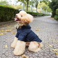 thumbnail image 2 of Abrigo para perros de otoño e invierno, chaqueta de algodón de dos patas con gorro, adecuada para suministros para perros mascota pequeños y medianos JM Papelería, 2 of 5