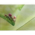 thumbnail image 4 of Ambesonne Nature Quilted Bedspread Set 3 Pcs, Fresh Spring Blossoms, King Size, Green Pale Yellow Pink, 4 of 5