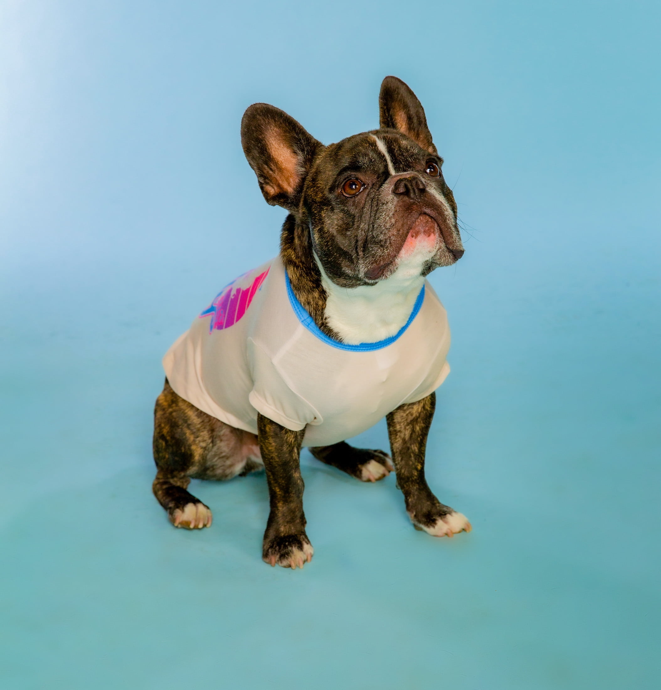 Doggy Parton, Dog Clothes, All-Star Show Dolly Dog T-Shirt, White, L