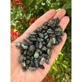 thumbnail image 3 of WHOLESALE Natural Semi Tumbled Kambaba Jasper Gemstone Chips, Crushed Mini Crystals, Undrilled (Kambaba Jasper, 0.5 Pound), 3 of 4
