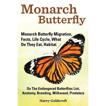 Monarch Butterfly, Monarch Butterfly Migration, Facts, Life Cycle, What Do They Eat, Habitat, Anatomy, Breeding, Milkweed, (Best Milkweed For Monarchs)