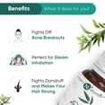 thumbnail image 4 of Naturalis Eucalyptus Oil – Pure Eucalyptus Essential Oil for Aromatherapy, Skin 15ml, 4 of 4