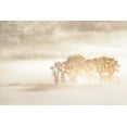 thumbnail image 2 of Fan, John 14x11 White Modern Wood Framed Museum Art Print Titled - Autumn Dreams, 2 of 4