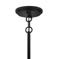 thumbnail image 3 of 1 Light Medium Outdoor Pendant In Modern Style 20 Inches Wide By 15.25 Inches High-Black Finish Hinkley Lighting 11154Bk, 3 of 4