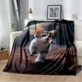 thumbnail image 1 of Couverture Ragdoll Chat Persan Calico Chat Garfield Couverture Douce pour Maison Chambre Lit Canapé Couverture Enfants, 1 of 7