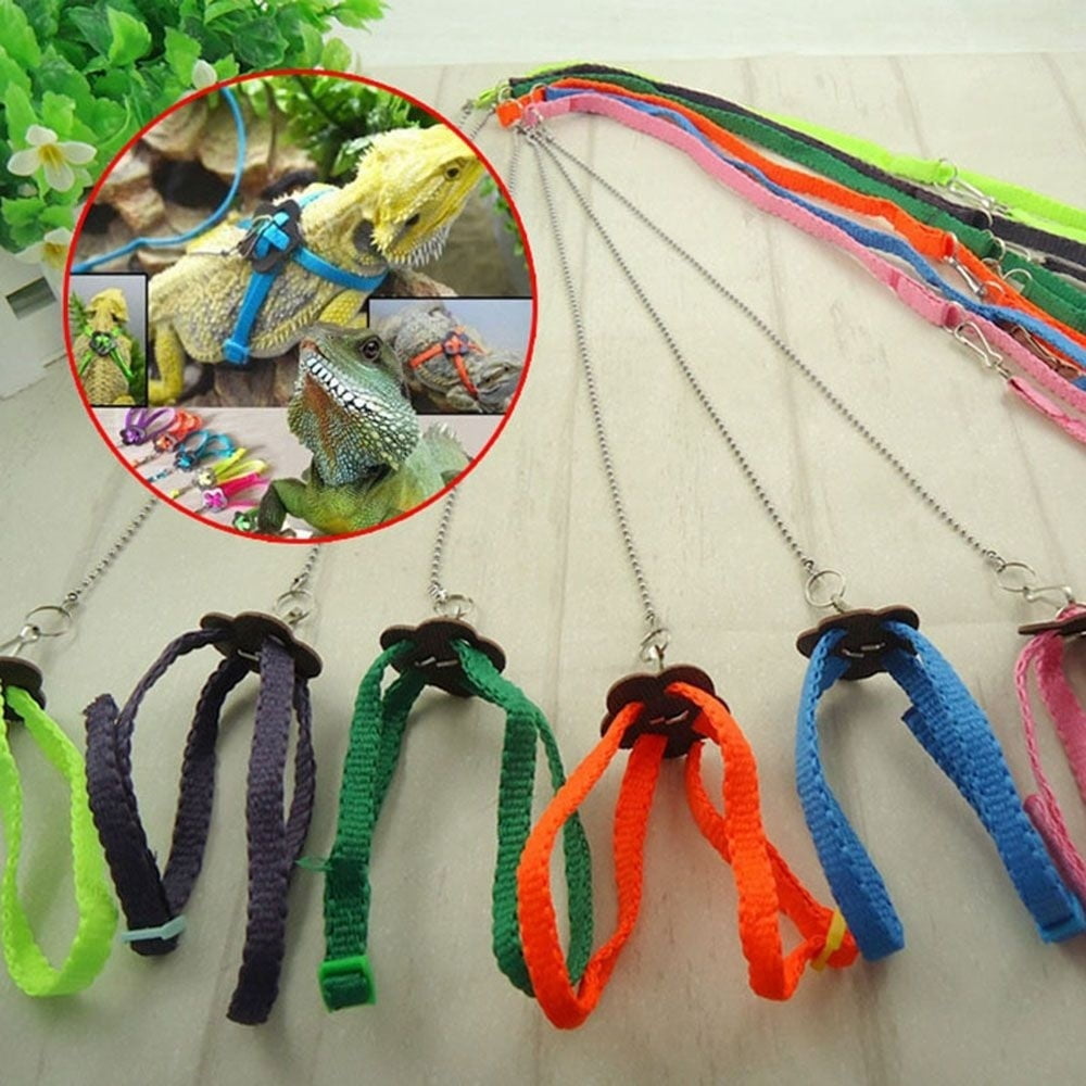 Harness Bird Leash And Birds Pet Fred 6 Foot Easiest Safest New