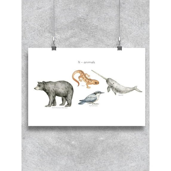 Animals With N Poster - Image by Shutterstock,