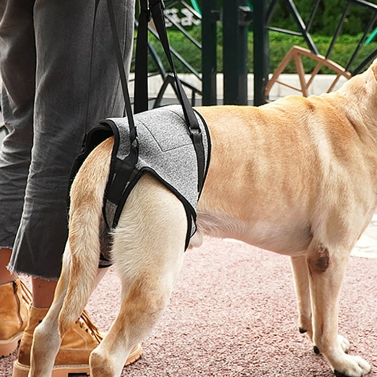 Hesroicy Supportive Dog Lifting Sling with Detachable Handle and