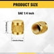 thumbnail image 2 of 1/4 Flare Cap, Round Brass with Neoprene O-Ring Seal HVAC Valve Cap, 2 of 5