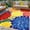 Multi Colored, variant on 5x8 Outdoor Area Rug Washable Multicolored Patio Mat Tropical Botanical Floral Chenille Waterproof Carpet for Deck Backyard Porch Living Room Rainbow Design