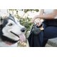 thumbnail image 5 of Correa retráctil para perros TUG ovalada 360°, sin enredos, con bolsa de basura, 5 of 5