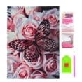 thumbnail image 1 of DIY diamante pintura con marco Kit 5D taladro completo dibujo arte artesanía para niños adolescentes adultos D9956 Vogacara HA001481-01B, 1 of 6